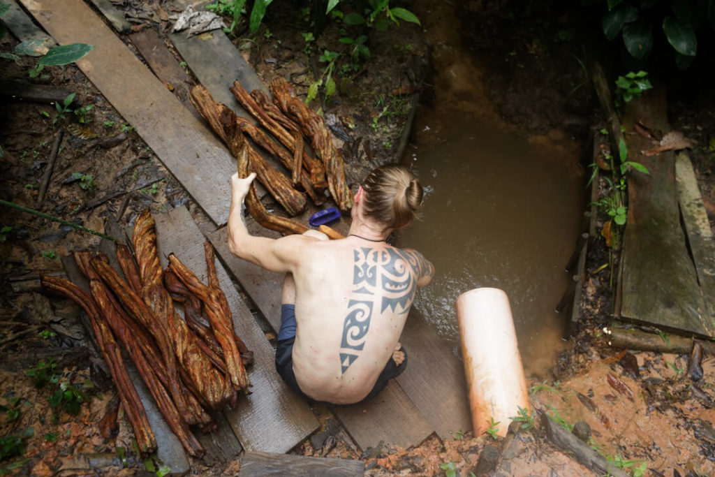 ayahuasca retreat peru cleaning thick ayahuasca lianas in a stream